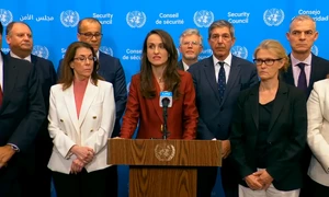 oana Toiu la ONU Captuta Youtube MAE png