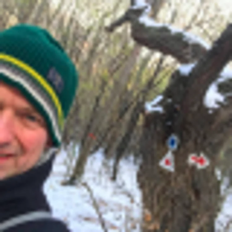 Franz Westerman la copacul din Greci unde a fost găsită lucrarea lui Picasso Sursa Facebook FW