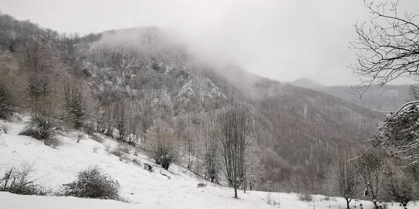 Iarna in Ponorici  Foto Daniel Guță  ADEVĂRUL (30) jpg