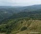 Drumul Bunila Vadu Dobrii Tinutul Pădurenilor Foto Daniel Guță ADEVĂRUL (14) jpg