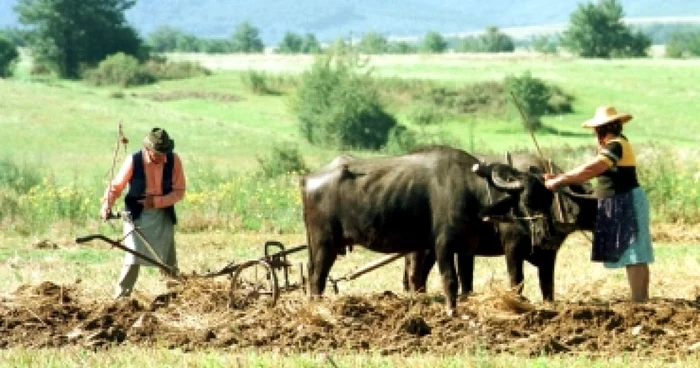 Oradea: Posibil parteneriat al fermierilor bihoreni cu cei din Cehia