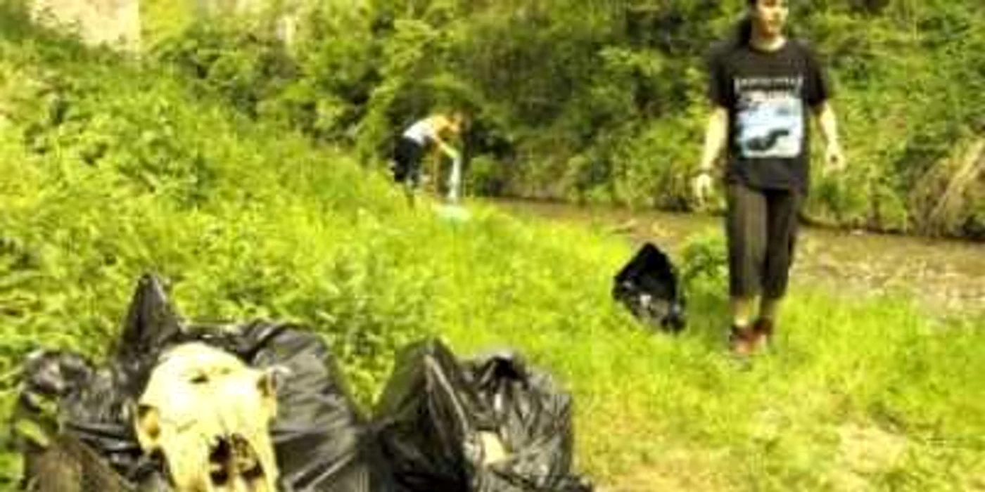 Tinerii sunt invitaţi să participe la acţiunea "eco".