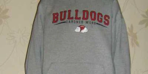 Laura Povilonyte este la prima experienţă europeană