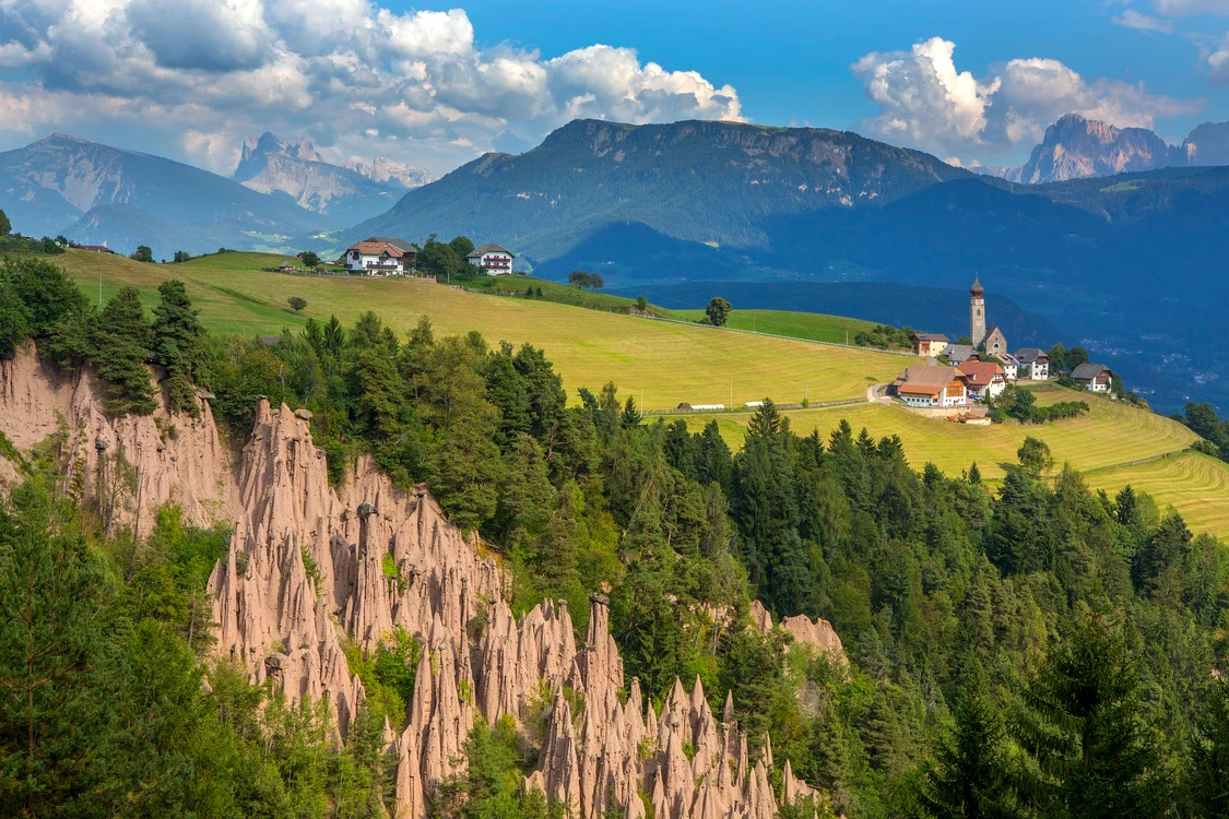 Vulturul negru trăiește în munți / foto: Pixabay