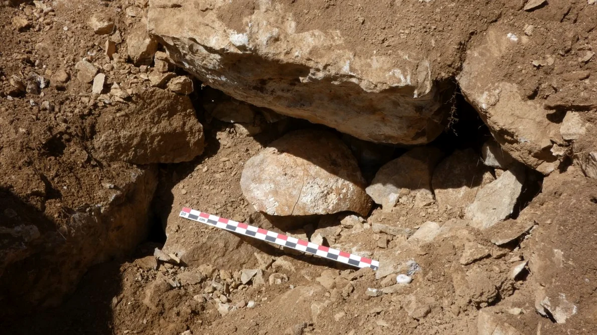 Craniul descoperit sub zidurile prăbușite ale fortului (© Santiago D. Domínguez-Solera)