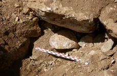 Craniul descoperit sub zidurile prăbușite ale fortului (© Santiago D. Domínguez-Solera)