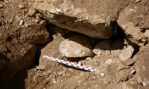 Craniul descoperit sub zidurile prăbușite ale fortului (© Santiago D. Domínguez-Solera)