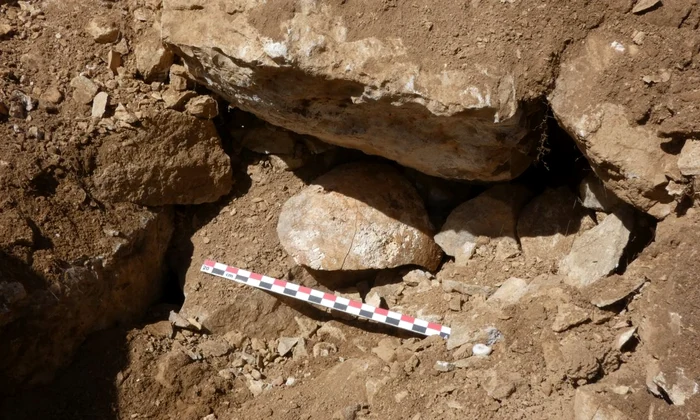 Craniul descoperit sub zidurile prăbușite ale fortului (© Santiago D. Domínguez-Solera)