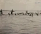 Jamboreea Naţională de la Mamaia 1934 Sursa Arhiva Cercetaşii României Expoziţia de la Muzeul de Marină Constanţa