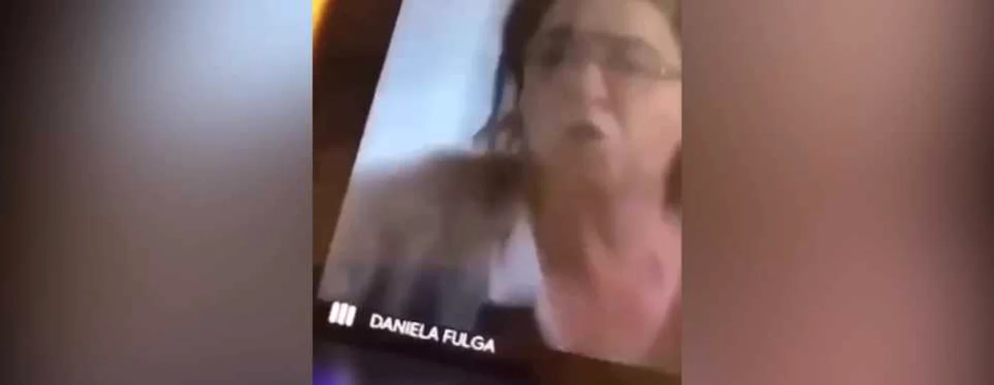 Daniela Fulga, profesor de Limba Română - captură video