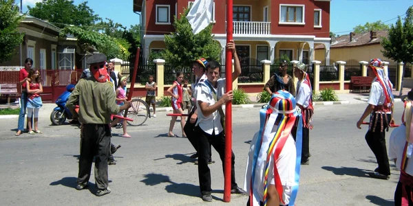 Călușarii, un ritual străvechi al românilor în ziua de Rusalii
