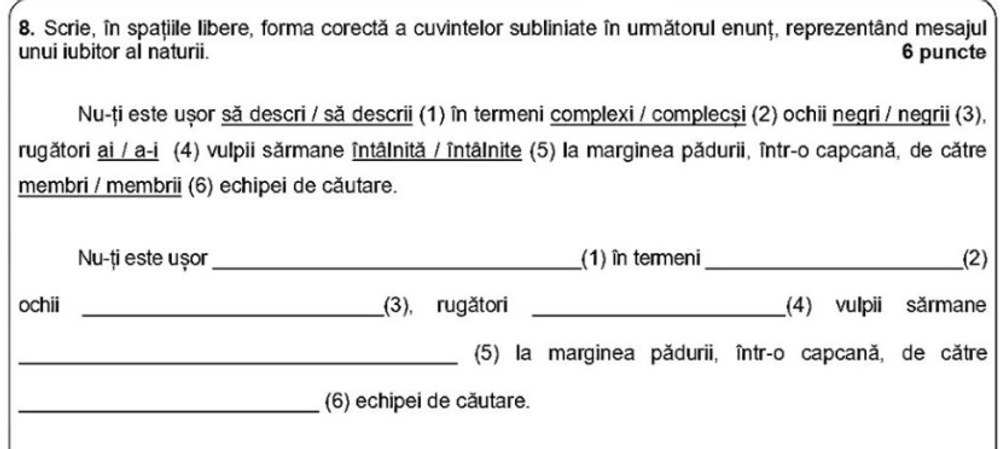 Semnalul unui profesor de Limba română, după corectarea lucrărilor de la Evaluarea Națională: „Au o problemă foarte gravă”