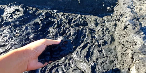 namol lacu sarat jpg