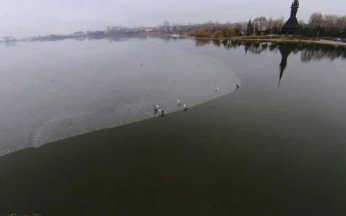 Lacul Tăbăcărie a devenit paradisul păsărilor călătoare