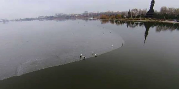 Lacul Tăbăcărie a devenit paradisul păsărilor călătoare