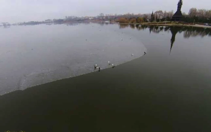 Lacul Tăbăcărie, paradisul păsărilor FOTO Claboo Media