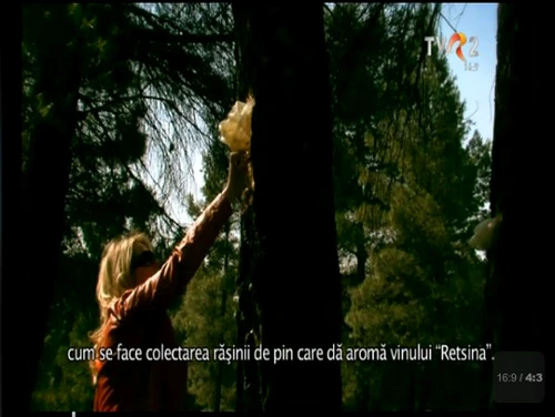 Olga Balan a fost curioasa sa afle cum se face vinul cu rasina