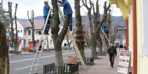 Iluminat festiv cu ornamente vechi