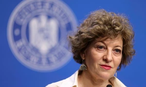 Briefing de presă privind reorganizarea mai multor companii de stat organizat de vicepremierul Oana Gheorghiu, în București. FOTO Inquam Photos / Octav Ganea