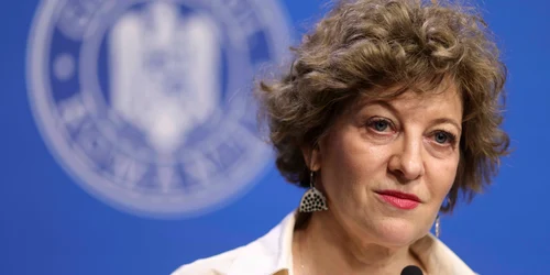 Briefing de presă privind reorganizarea mai multor companii de stat organizat de vicepremierul Oana Gheorghiu, în București. FOTO Inquam Photos / Octav Ganea