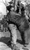 historia ro undefined jpeg