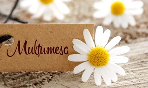 ziua internationala a cuvantului multumesc jpg