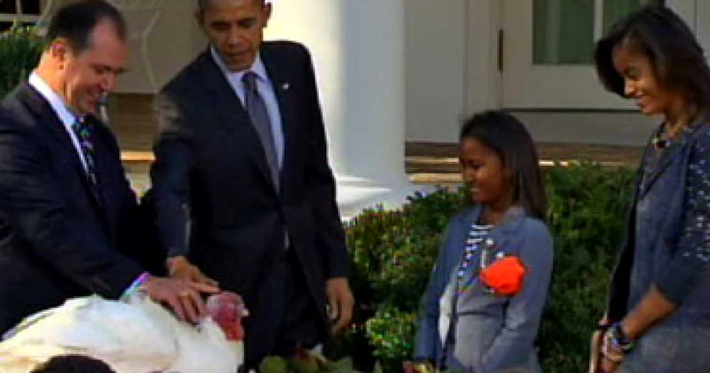 Obama mângâind curcanul "Apple"  / foto: CBS News