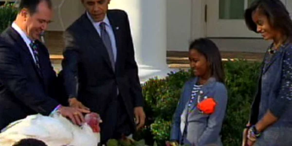 Obama mângâind curcanul "Apple"  / foto: CBS News