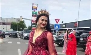 pirande din zona grajduri 14 jpeg