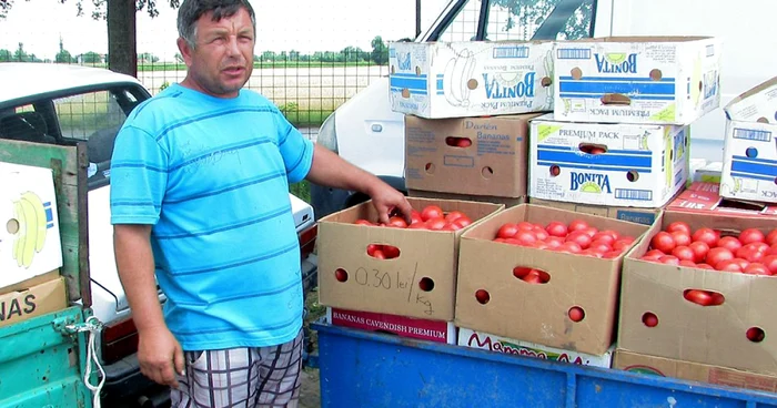 De disperare, legumicultorii buzoieni sunt la un pas de a ieşi în stradă FOTO: Iulian Bunilă