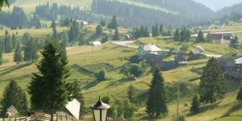 Bistriţa:Picnic de stână la Tihuţa/ Recomandări de weekend