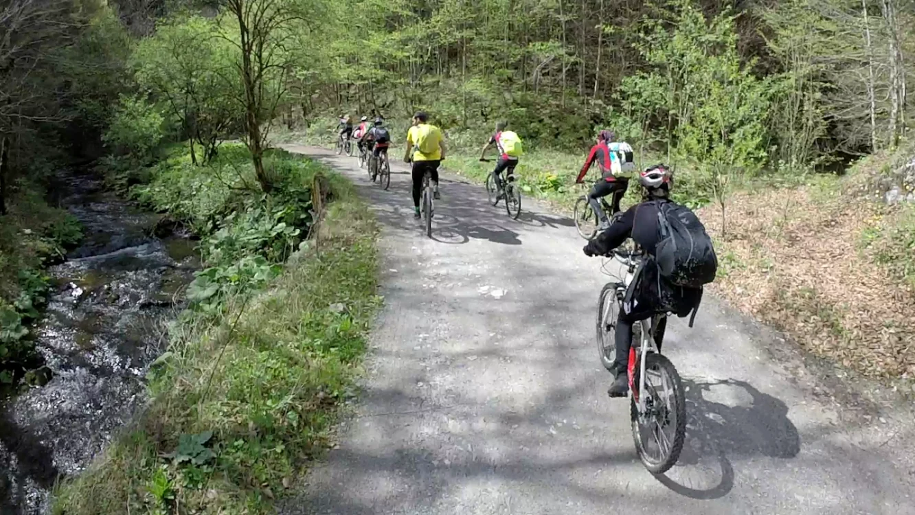 Trasee pentru biciclişti FOTO Descover Timiş