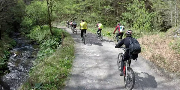 Cicloturism Timiş