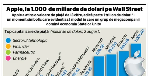 infografie  giganti IT