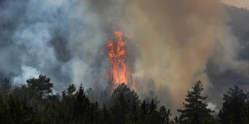 Dezastru provocat de incendii în Turcia. FOTO EPA-EFE