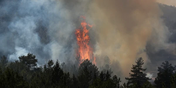Dezastru provocat de incendii în Turcia. FOTO EPA-EFE