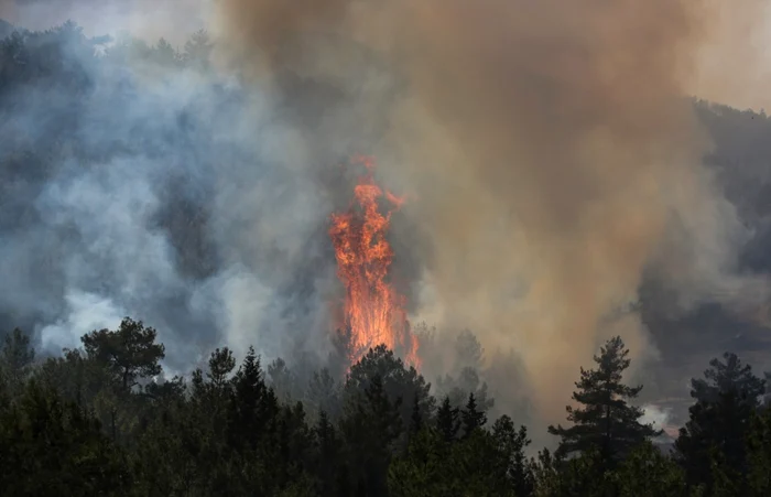 Pompierii luptă cu trei incendii de vegetație în vestul Turciei FOTO Arhivă