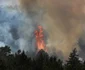 Dezastru provocat de incendii în Turcia. FOTO EPA-EFE