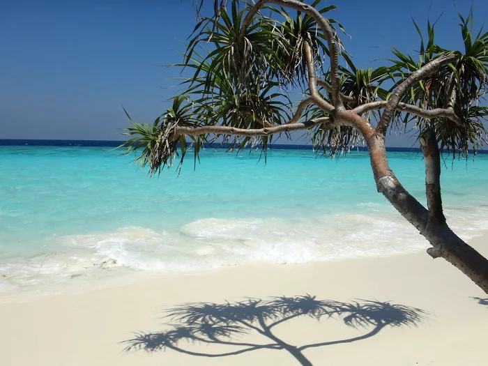 O vacanță în Maldive poate fi și ieftină / foto: Pixabay