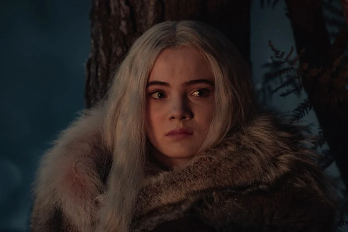 The Witcher - Netflix 1