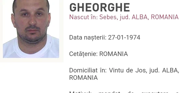 proxenet alba jpg