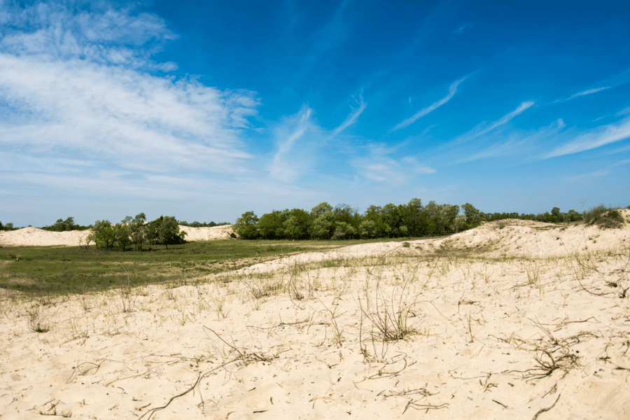 „Sahara” României se întinde deja pe 100.000 ha. Ce e de făcut în contextul schimbărilor climatice
