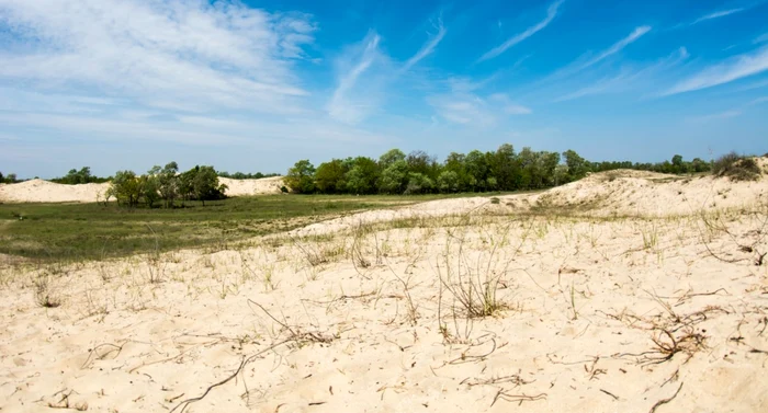 Sute de mii de hectare de teren arabil din România au ajuns dune de nisip FOTO Shutterstock
