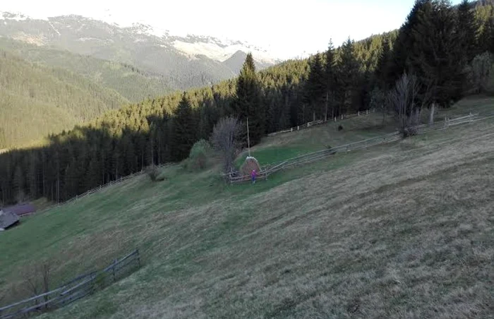 Aer curat, la munte FOTO: Alexandra Tătaru