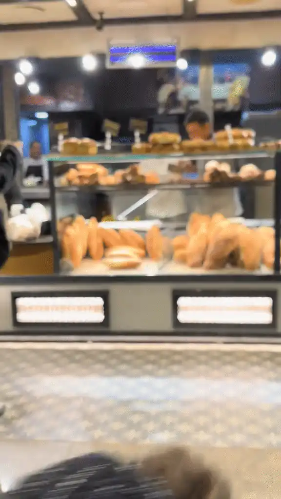 Șobolan filmat printre pâinile unei brutării din București. „Era plin de șoareci și gândaci”