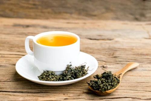 1 planta jiaogulan jpg jpeg