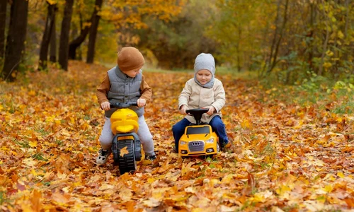 pexels polesietoys 18990779(1) jpg