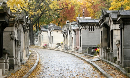 1 shutterstock 68351935 jpg jpeg