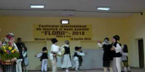 Mugurii de la Tulnici