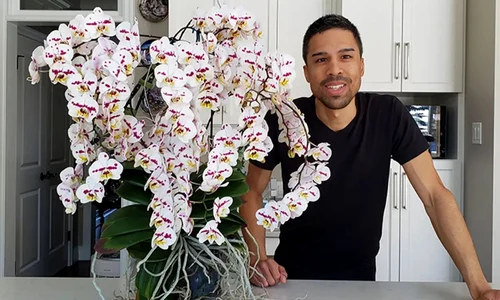 kevin english orhidee record guinness world records jpg